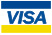 Visa credit card